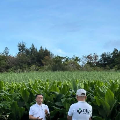 Chuyến đi thực tế vùng trồng
